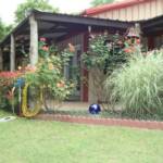 Beautiful landscaping!